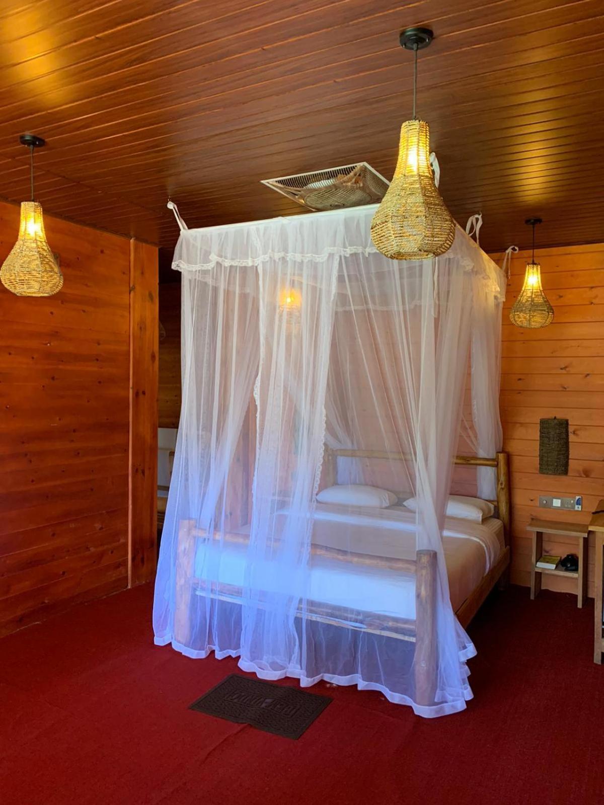 Ella Wood Cabin Room photo